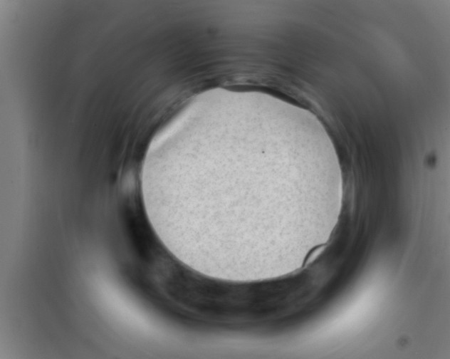 X0000100400191200807032023