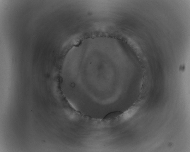 X0000100400192200807032023