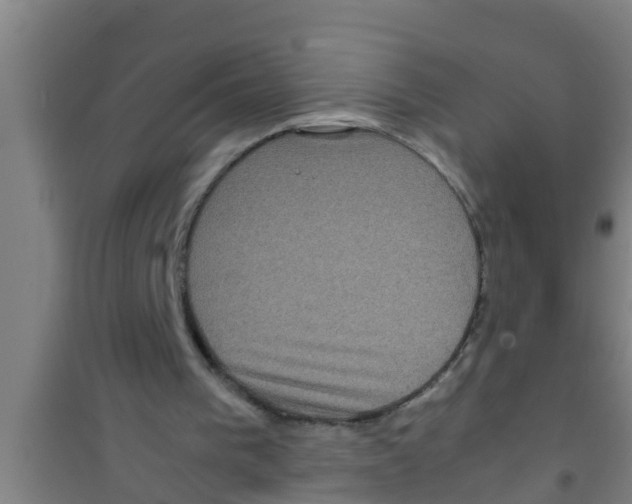 X0000100400193200807032022