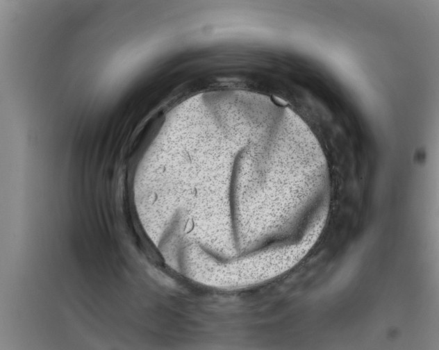 X0000100400194200807032022