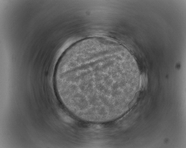 X0000100400195200807032022