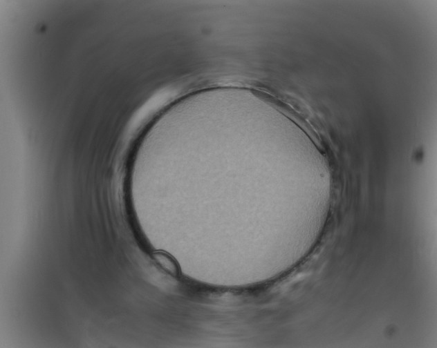 X0000100400197200807032022