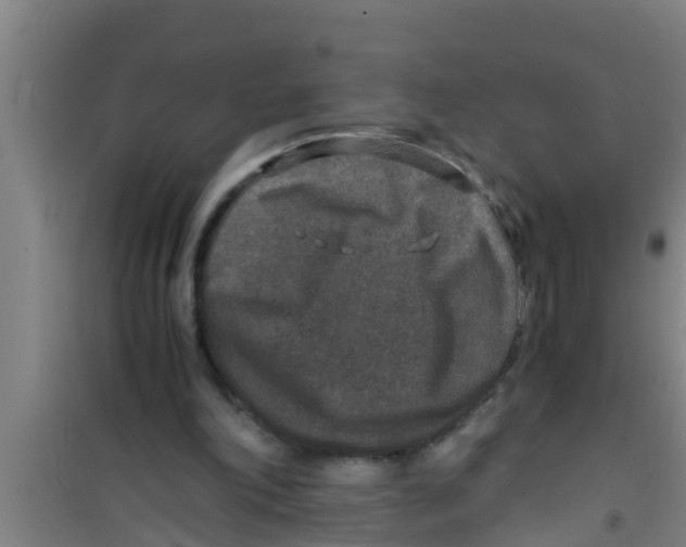 X0000100400198200807032022