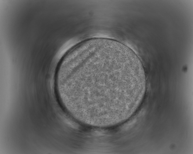 X0000100400199200807032022