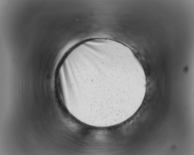 X0000100400200200807032022