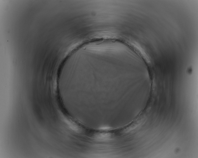 X0000100400202200807032022