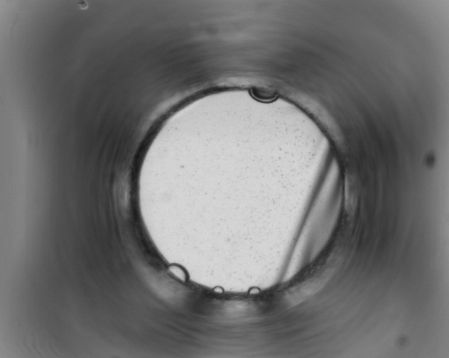 X0000100400204200807032022