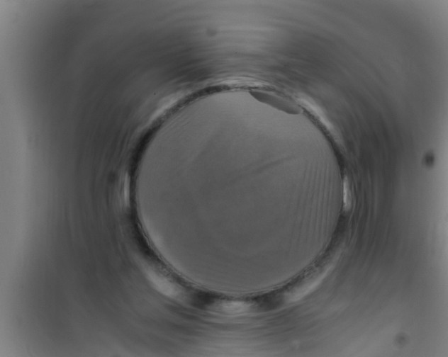 X0000100400205200807032022
