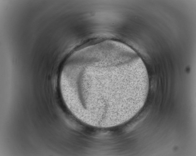 X0000100400206200807032022