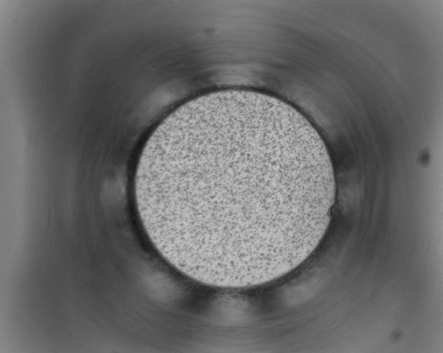 X0000100400207200807032022
