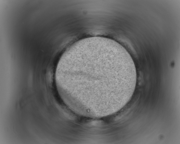 X0000100400210200807032022
