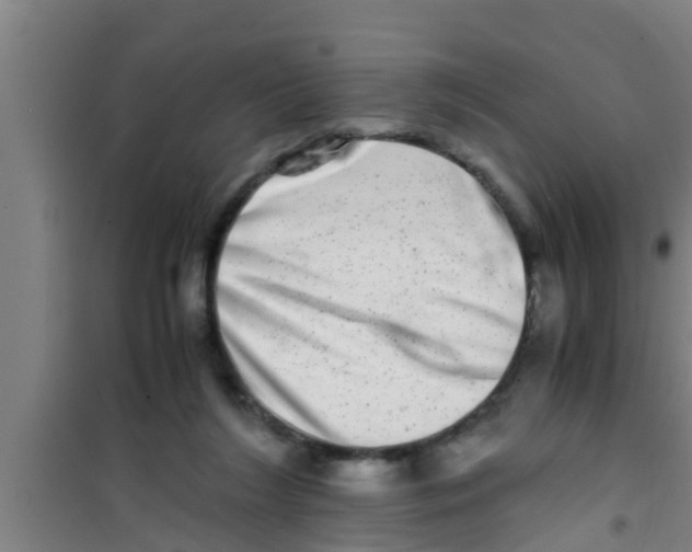 X0000100400212200807032022