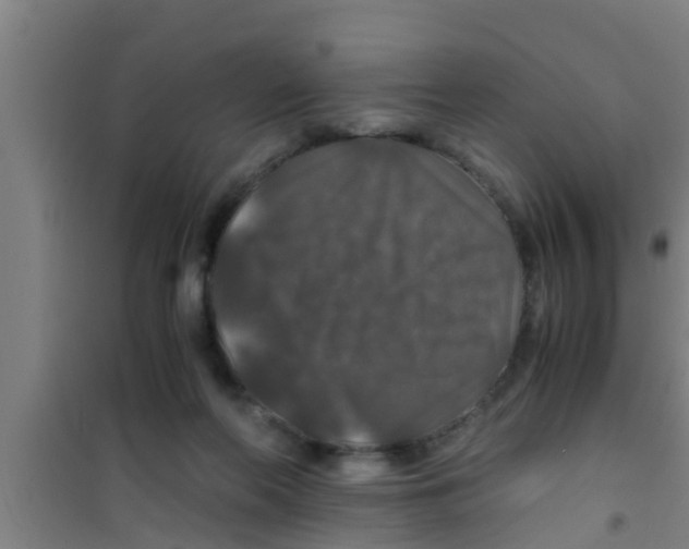 X0000100400214200807032022