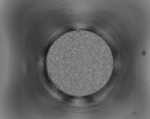 X0000100400215200807032022