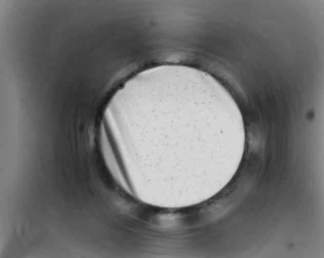 X0000100400216200807032022