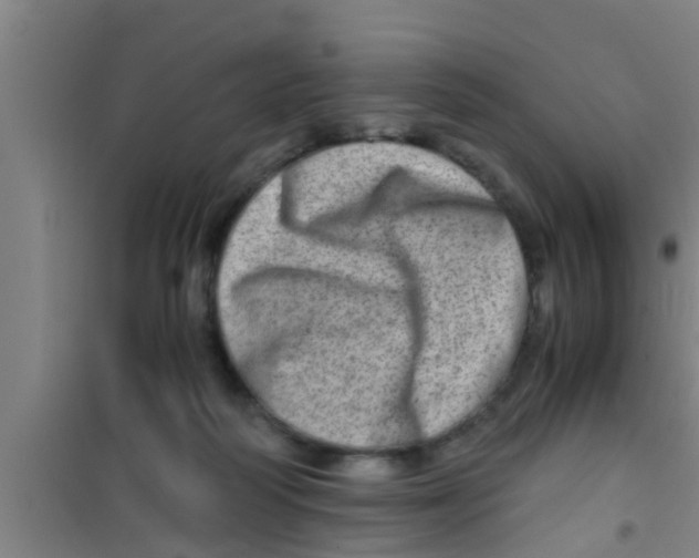 X0000100400218200807032022
