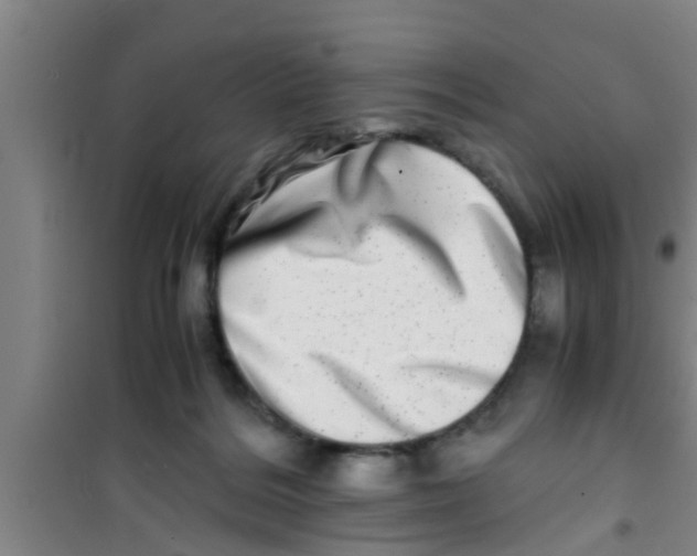 X0000100400220200807032021