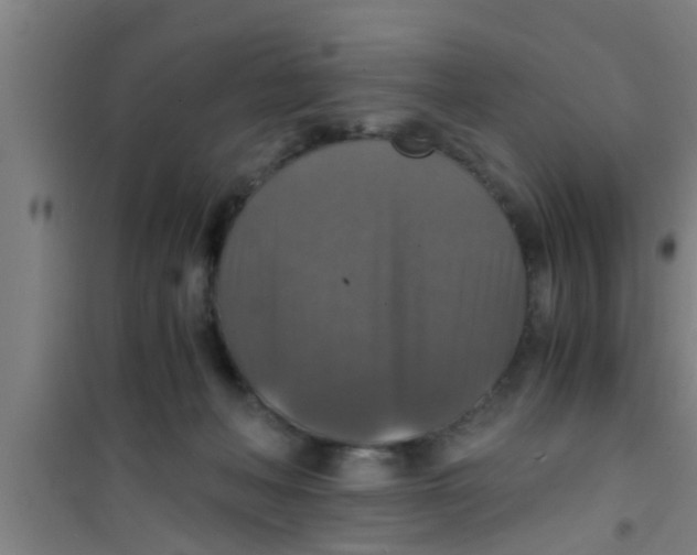 X0000100400222200807032021