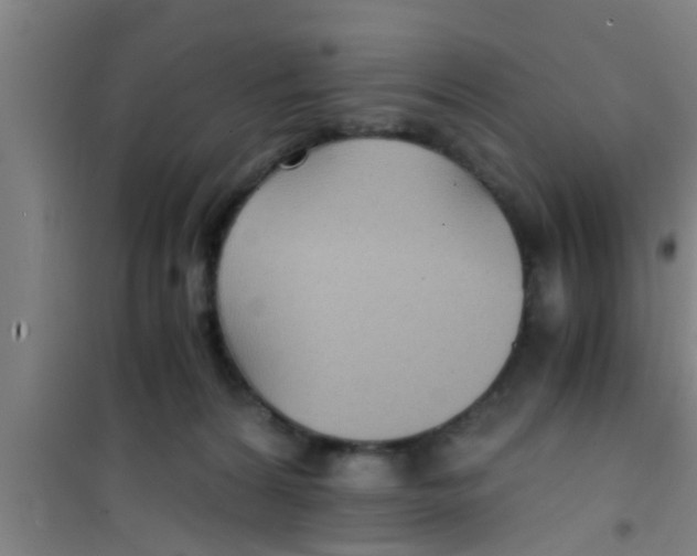 X0000100400224200807032021