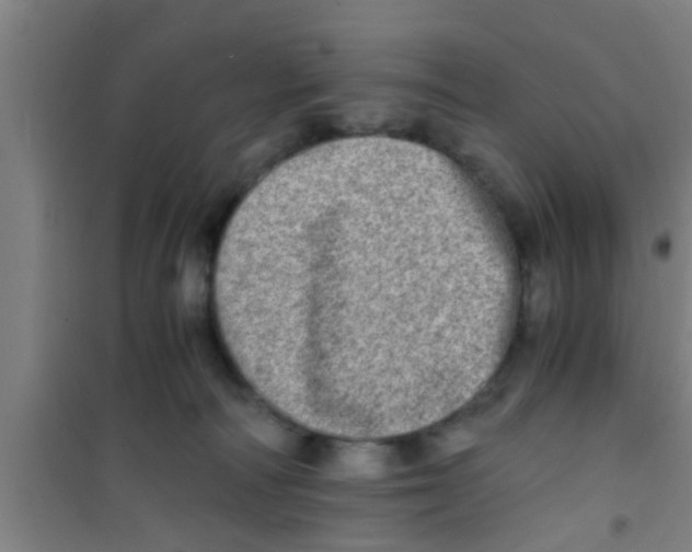 X0000100400226200807032021