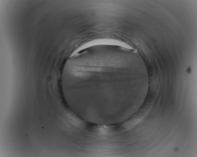 X0000100400229200807032021