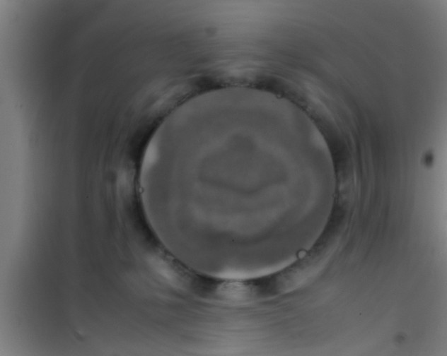X0000100400231200807032021