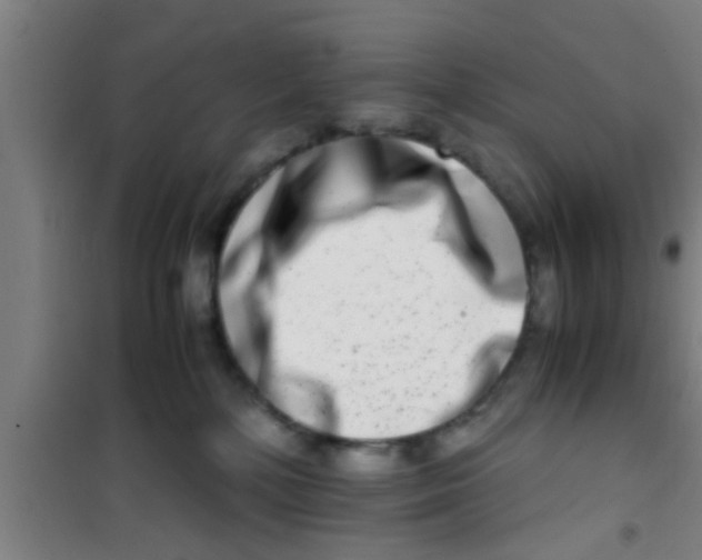 X0000100400232200807032021