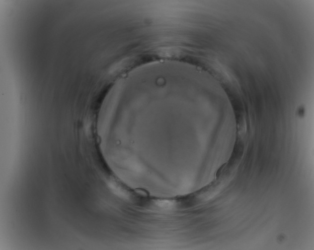 X0000100400233200807032021