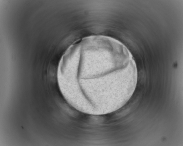 X0000100400234200807032021