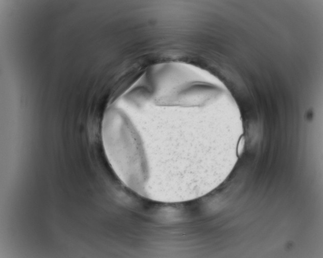 X0000100400236200807032021