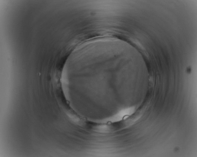 X0000100400237200807032021