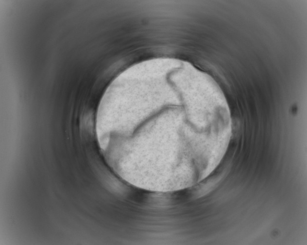 X0000100400238200807032021