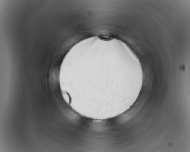 X0000100400240200807032021