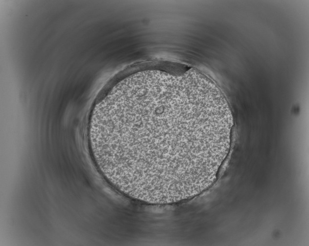 X0000100400241200807032021