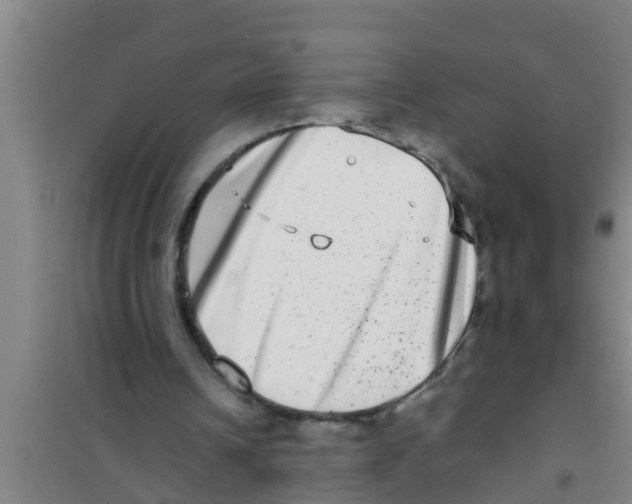 X0000100400242200807032021