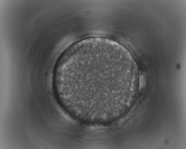 X0000100400243200807032021