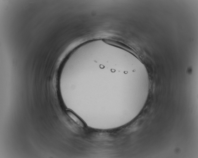 X0000100400244200807032021
