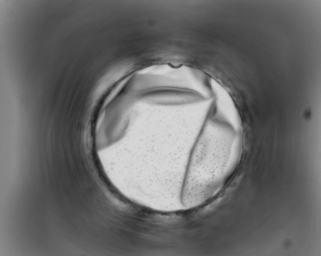 X0000100400245200807032021