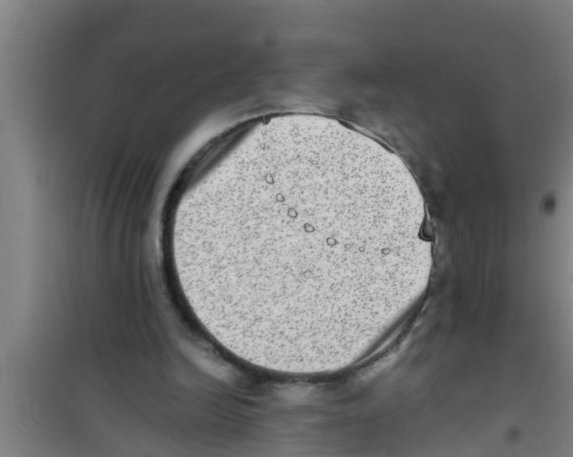 X0000100400246200807032021