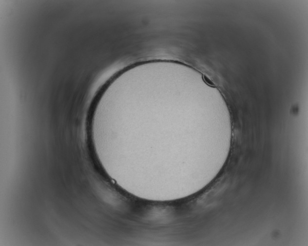 X0000100400248200807032021