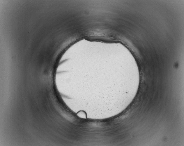 X0000100400250200807032021