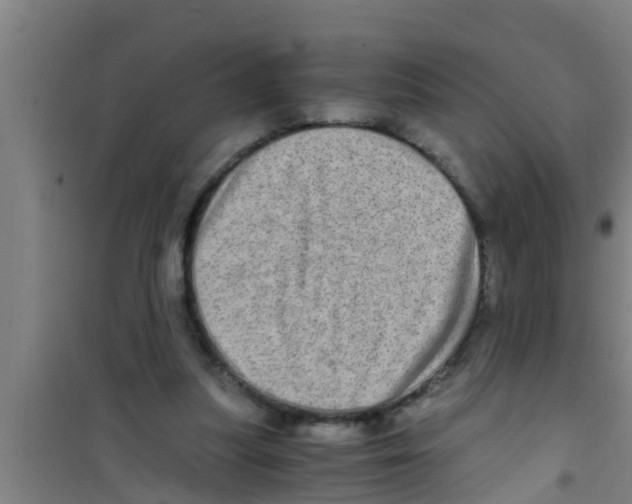 X0000100400251200807032021
