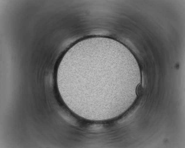 X0000100400252200807032021