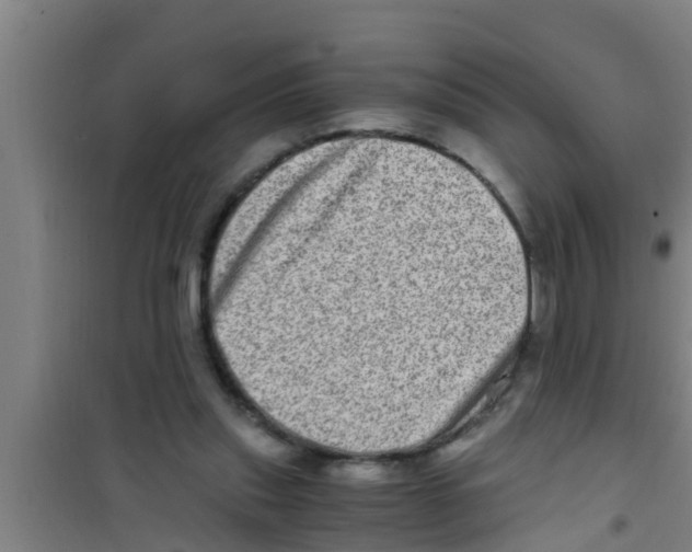 X0000100400253200807032021