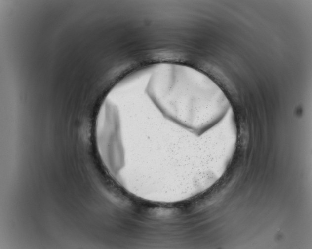 X0000100400255200807032021