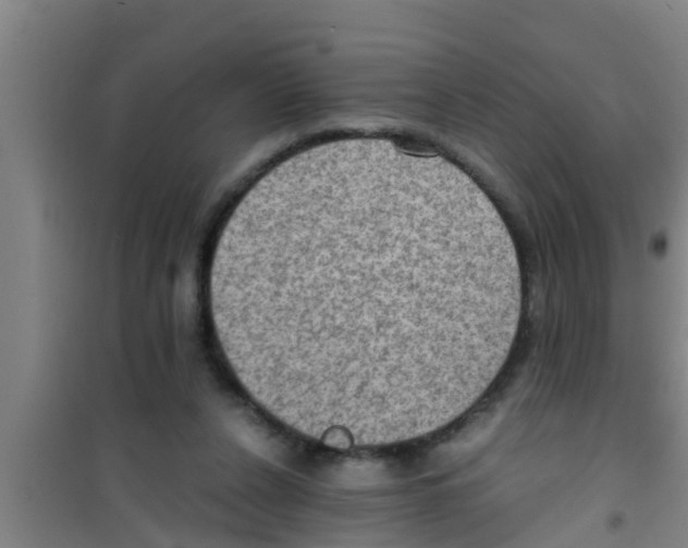 X0000100400256200807032021