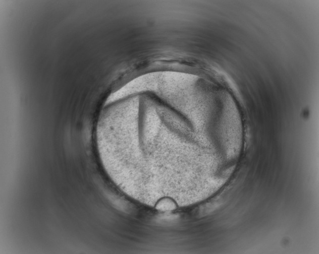 X0000100400257200807032021