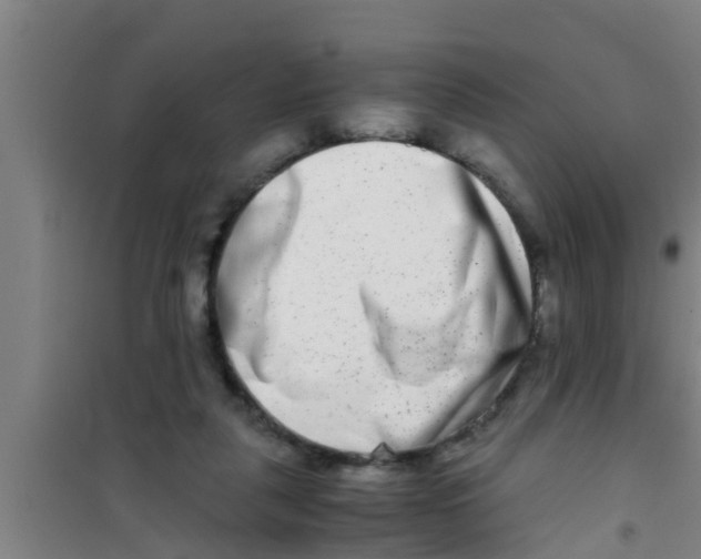 X0000100400259200807032021