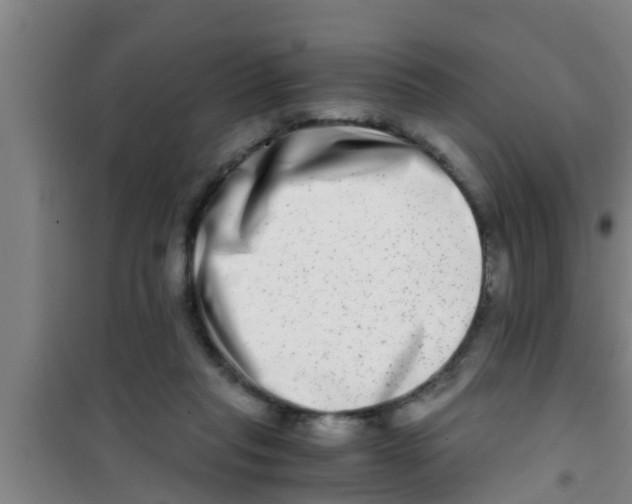 X0000100400261200807032021