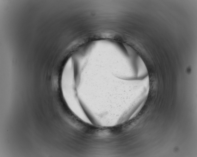 X0000100400262200807032021